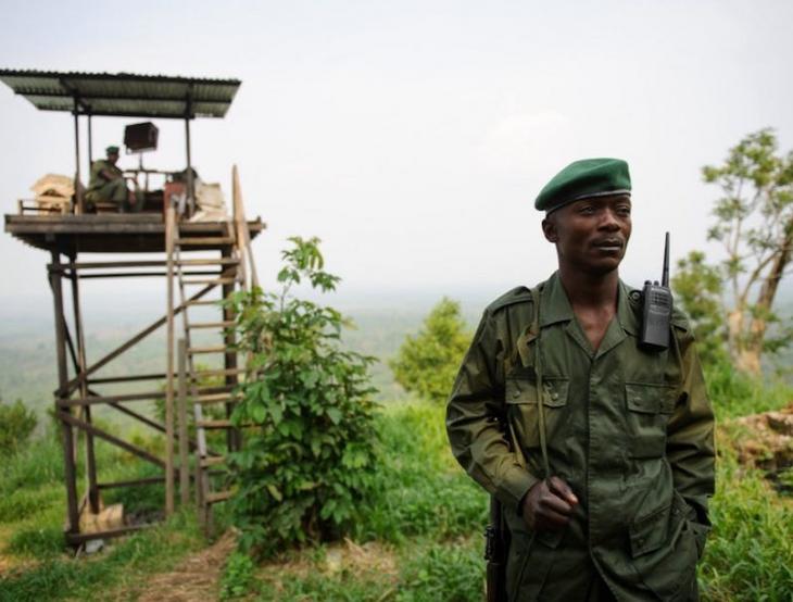 Parc national des Virunga : mettre fin à la « conservation policière » de la nature